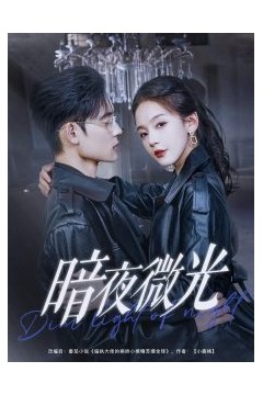 暗夜微光