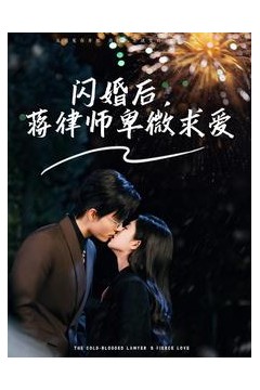 闪婚后蒋律师卑微求爱
