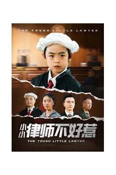律师不好惹