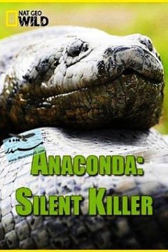 蟒蛇：沉默杀手