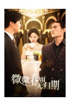 微微春雨无归期