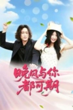 晚风与你都可期