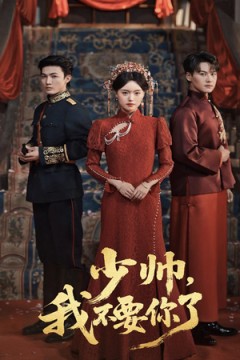 少帅我不要你了