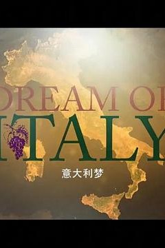 意大利梦第一季