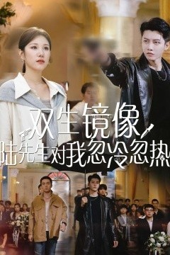 双生镜像陆先生对我忽冷忽热