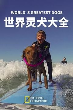 世界灵犬大全