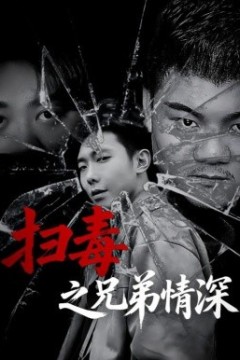 扫毒之兄弟情深