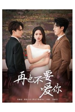 再也不要爱你