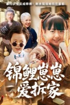 锦鲤崽崽爱拆家