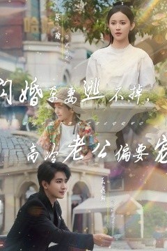 闪婚孕妻逃不掉，高冷老公偏要宠