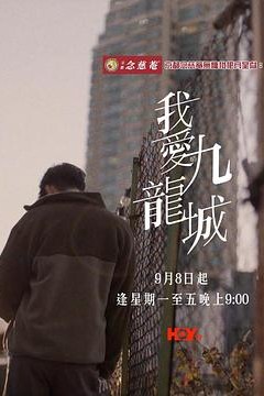 我爱九龙城粤语