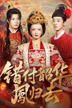 错付韶华凤归去