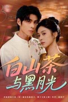 白山茶与黑月光