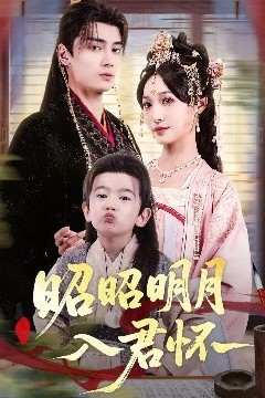 昭昭明月入君怀