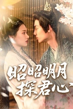昭昭明月探君心