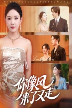 你像风来了又走
