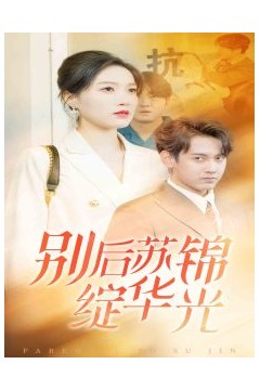 别后苏锦绽华光