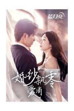 婚纱飘零爱消弭