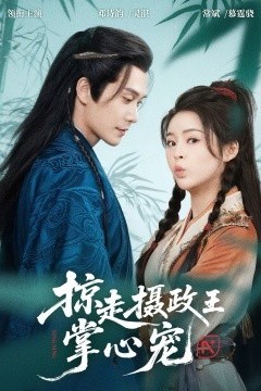 掠走摄政王掌心宠