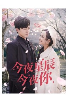 今夜星辰今夜你