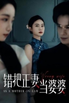错把正妻当婆婆