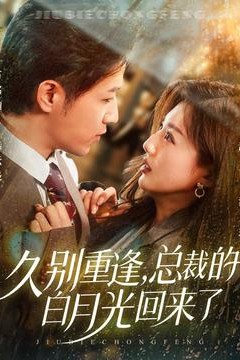 久别重逢，总裁的白月光回来了