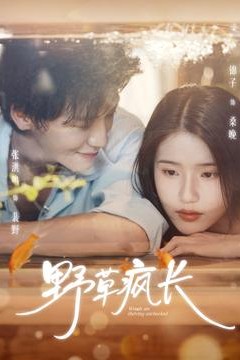 野草疯长