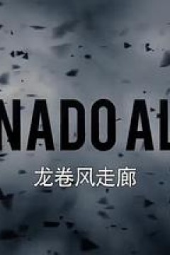 龙卷风走廊第二季