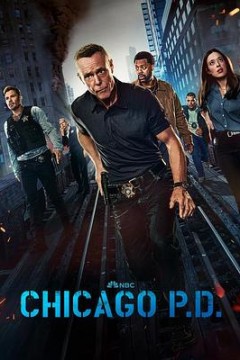 芝加哥警署第十二季