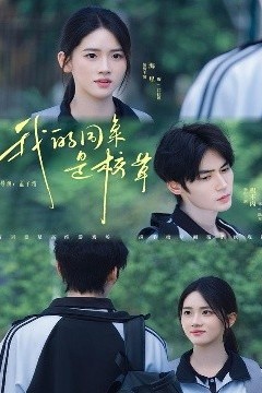 我的同桌是校草