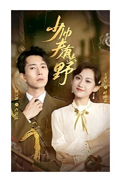 少帅夫人有点野