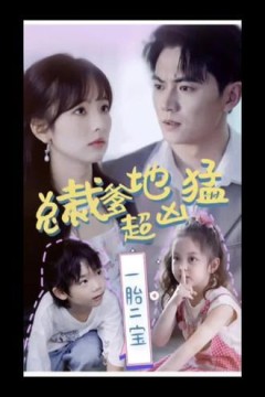 一胎二宝，总裁爹地超凶猛