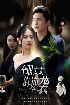 全职太太的逆袭