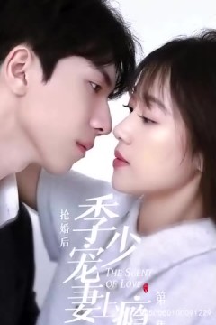 抢婚后，季少宠妻上瘾