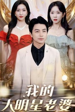 我的大明星老婆