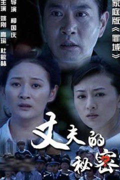 丈夫的秘密2012