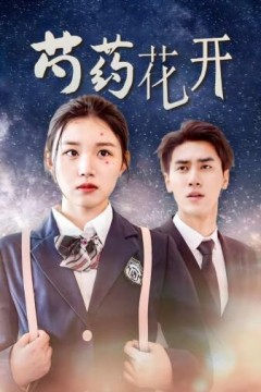 芍药花开火光中的芍药花