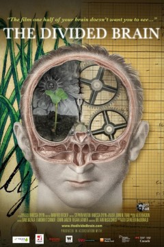 分裂的大脑