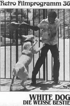 白狗1982