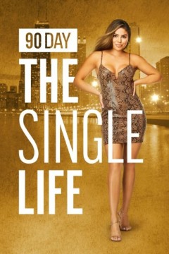 90天：单身生活第四季