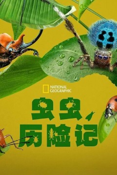 虫虫历险记