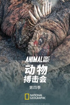 动物搏击会第四季