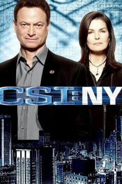 犯罪现场调查：纽约第七季