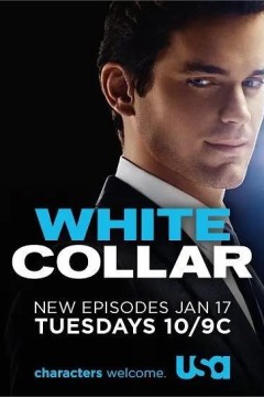 妙警贼探第三季2011