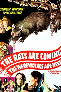 老鼠来了狼人来了