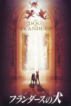 佛兰德斯的狗