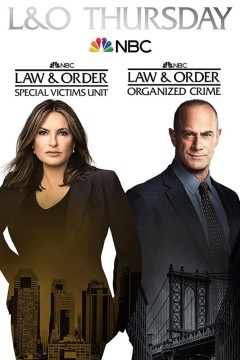 法律与秩序：特殊受害者第二十三季