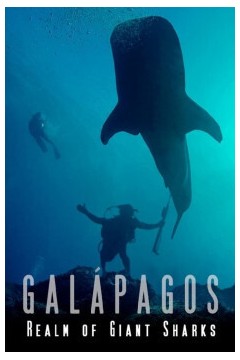 加拉帕戈斯群岛：巨大鲨鱼王国2012