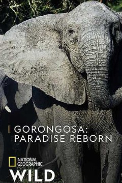 哥隆戈萨天堂重生