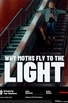 飞蛾为何飞向光明